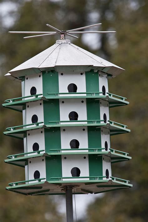 purple martin house